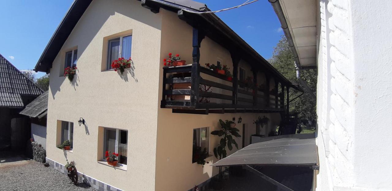 Pensiunea Casa Godja Văleni Extérieur photo
