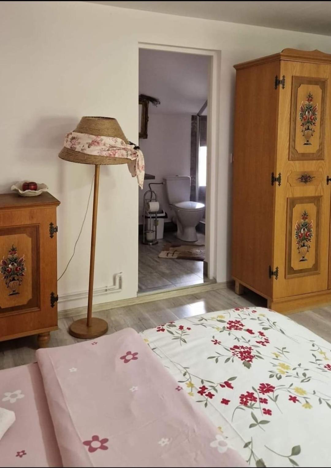 Pensiunea Casa Godja Văleni Extérieur photo