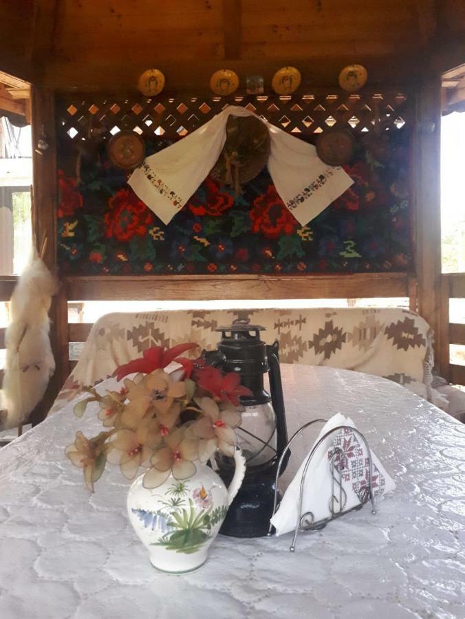 Pensiunea Casa Godja Văleni Extérieur photo