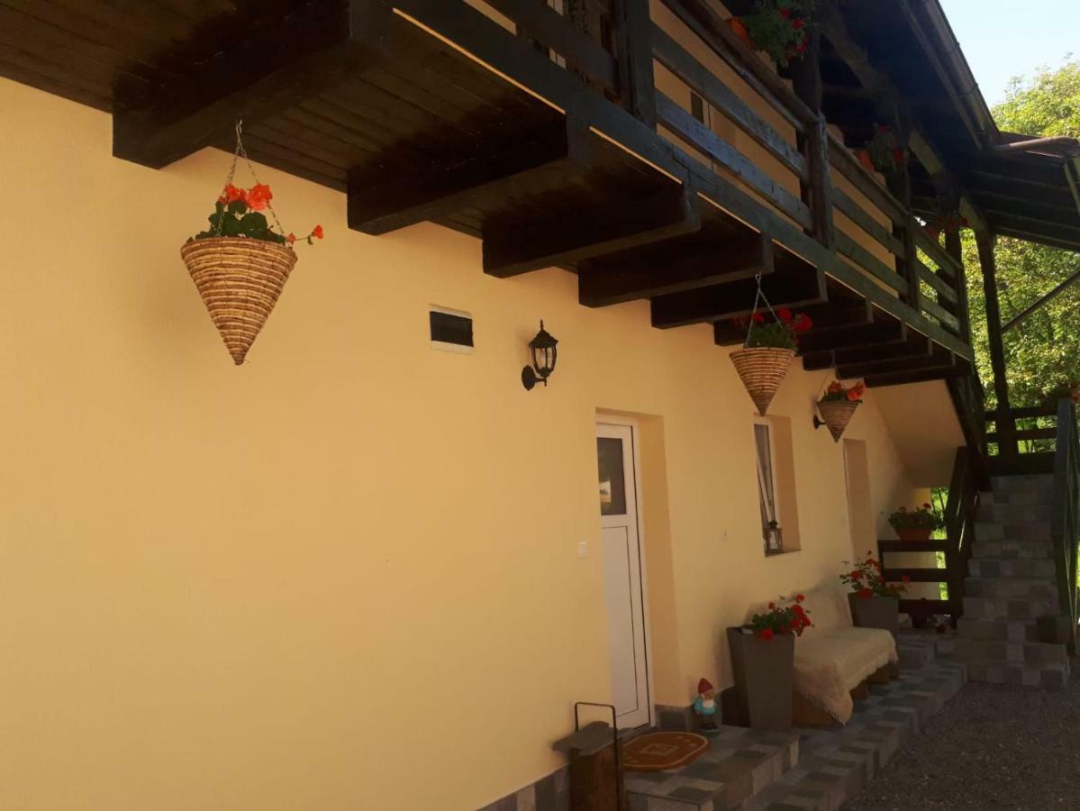 Pensiunea Casa Godja Văleni Extérieur photo